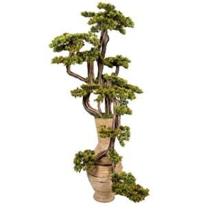 150 CM SAKSILI BONSAI