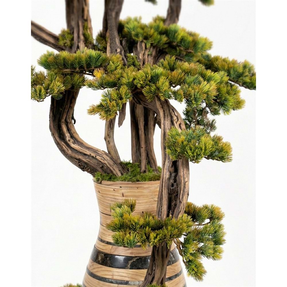 150 CM SAKSILI BONSAI