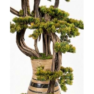 150 CM SAKSILI BONSAI