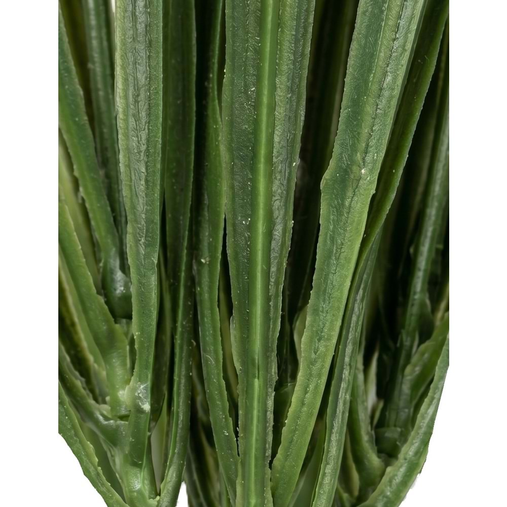 45 CM DEMET SAZLIK