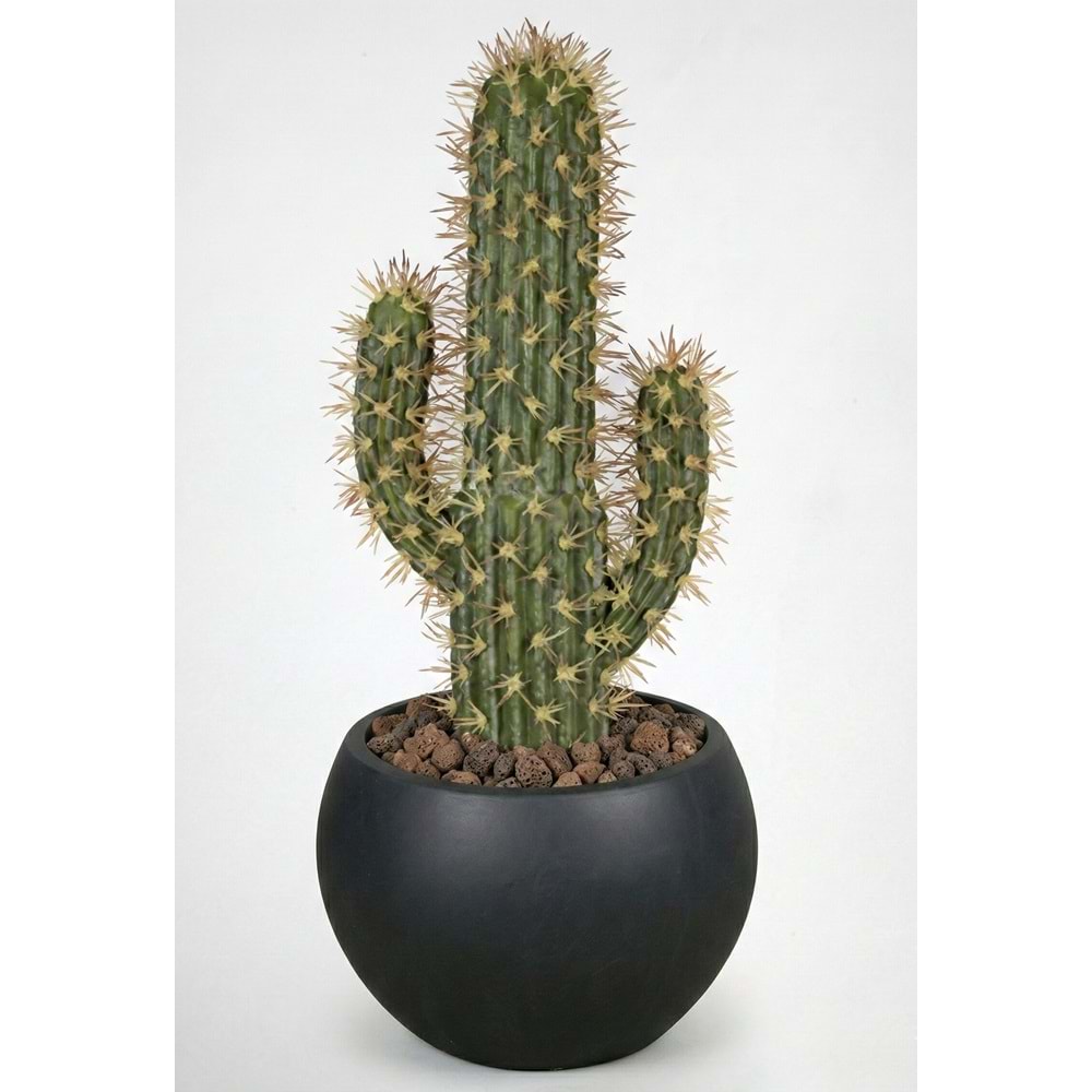 52 CM KAKTÜS
