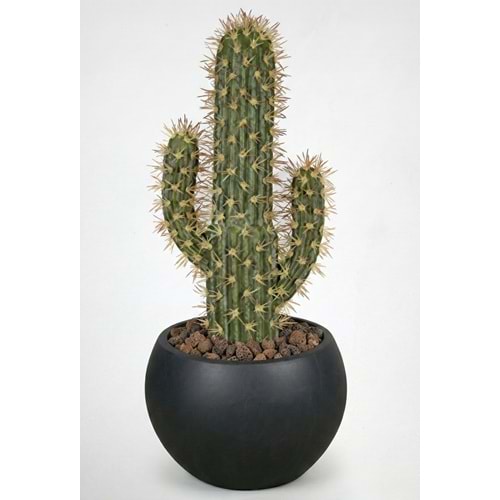 52 CM KAKTÜS