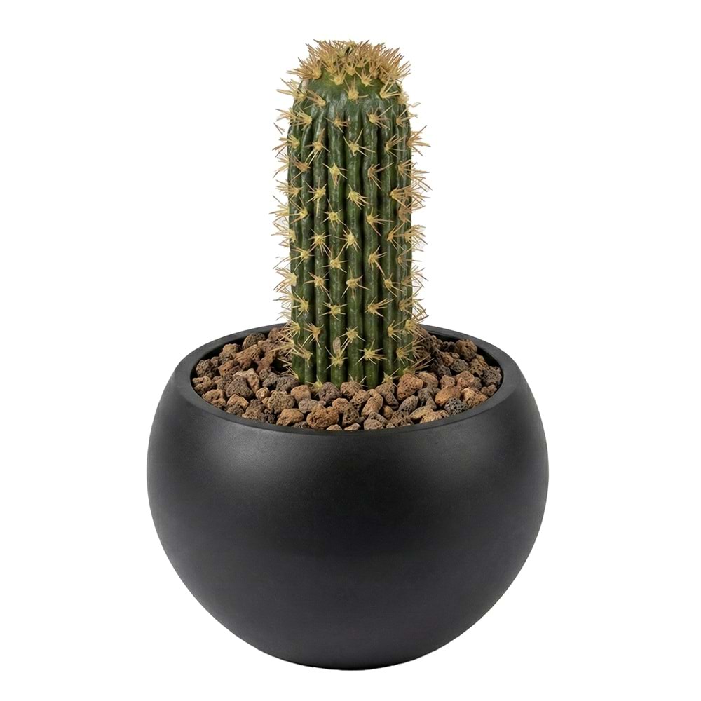 40 CM KAKTÜS