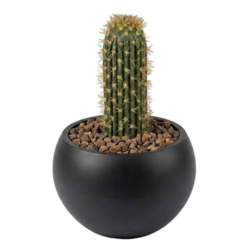 40 CM KAKTÜS
