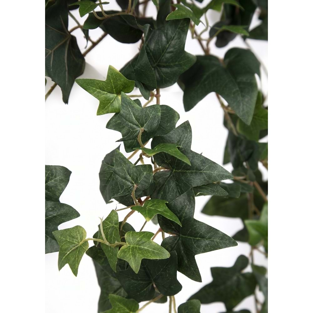 90 CM HEDERA SARMASIK