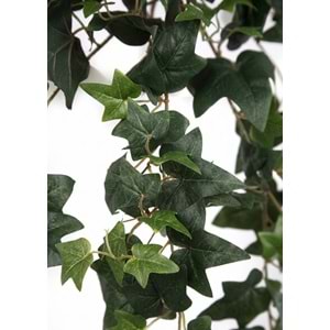 90 CM HEDERA SARMASIK