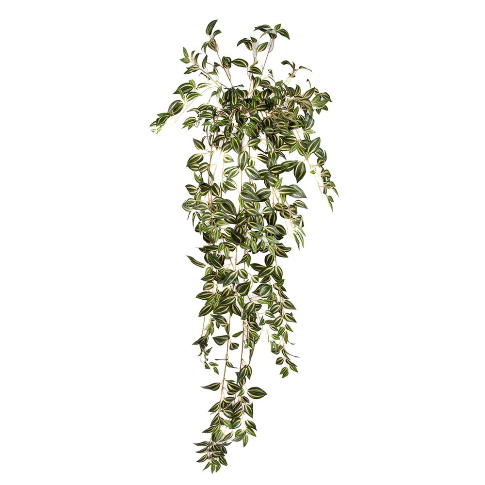 110 CM TELGRAF ÇİÇEĞİ SARMAŞIK