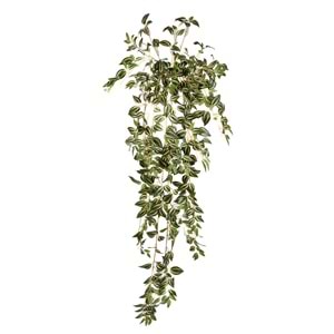 110 CM TELGRAF ÇİÇEĞİ SARMAŞIK