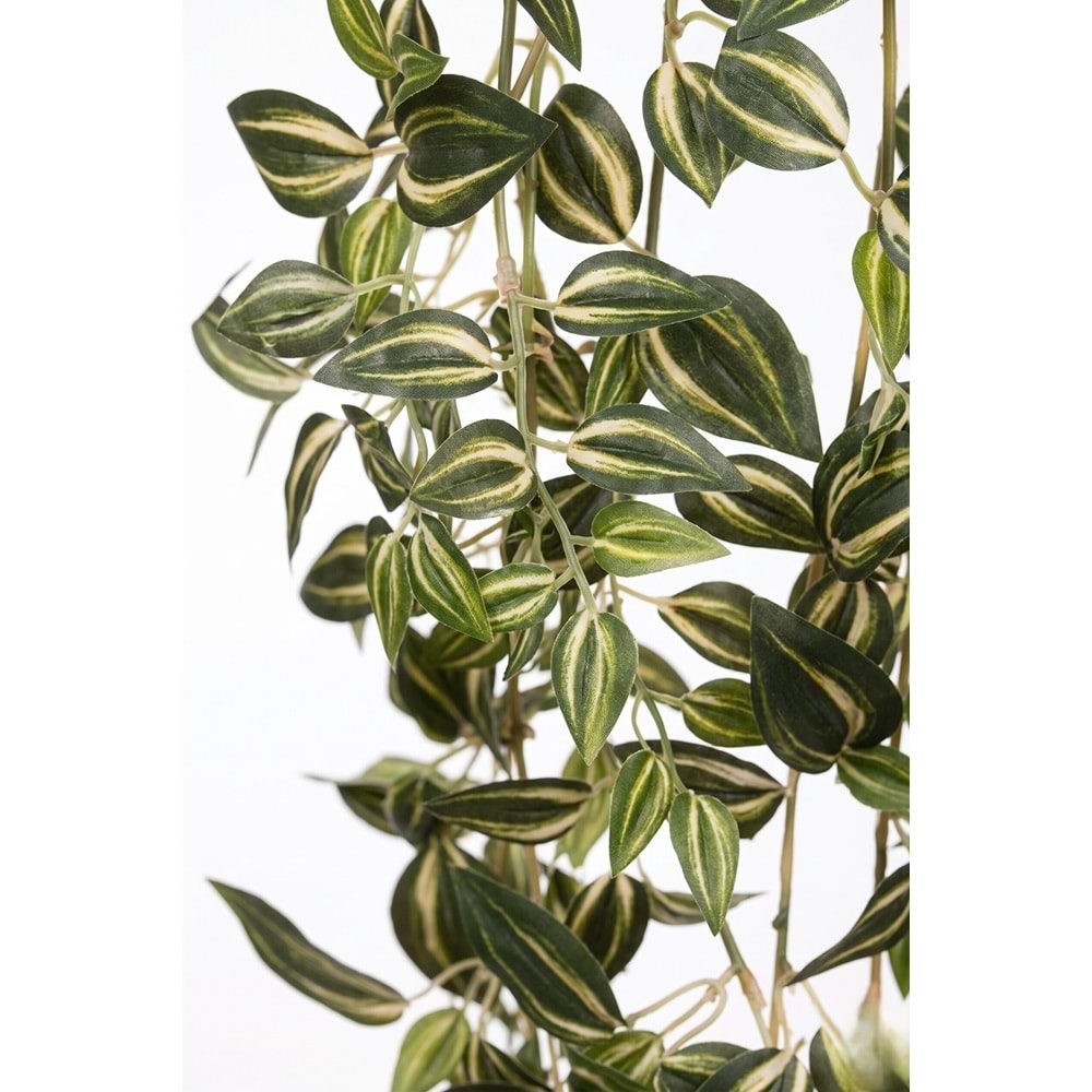 110 CM TELGRAF ÇİÇEĞİ SARMAŞIK