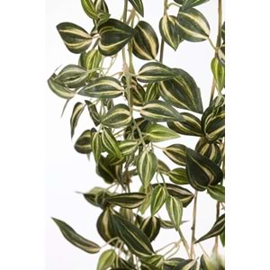 110 CM TELGRAF ÇİÇEĞİ SARMAŞIK