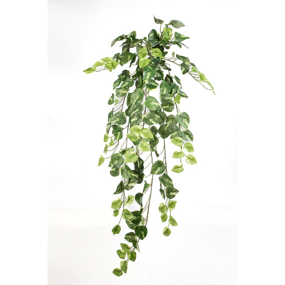 90 CM POTHOS SARMAŞIK