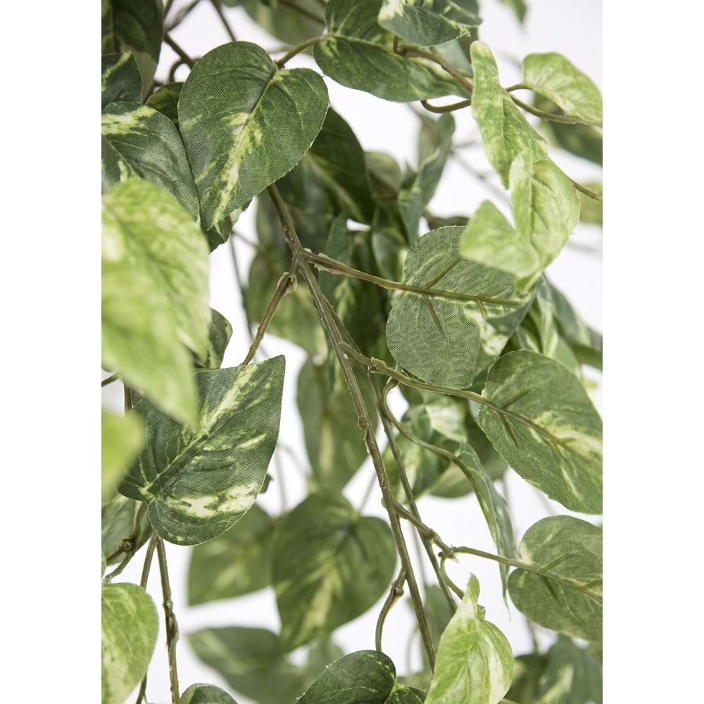 90 CM POTHOS SARMAŞIK