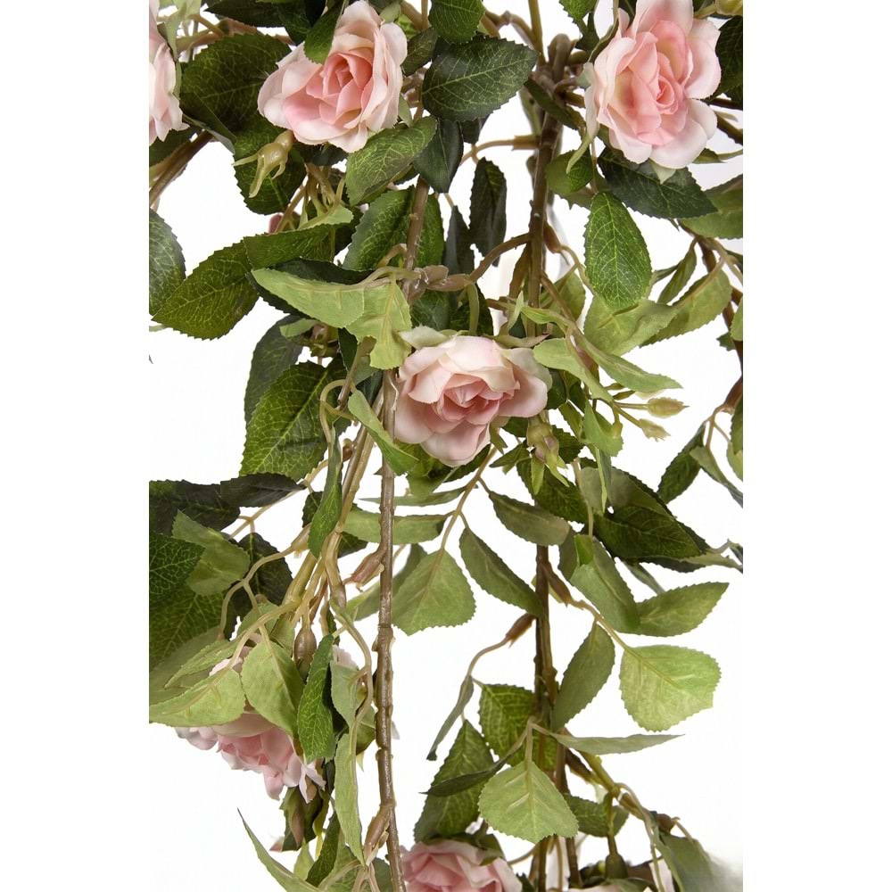 80 CM PEMBE FINDIKGÜLÜ SARMAŞIK