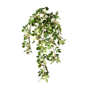 80 CM BEYAZ FINDIKGÜLÜ SARMAŞIK