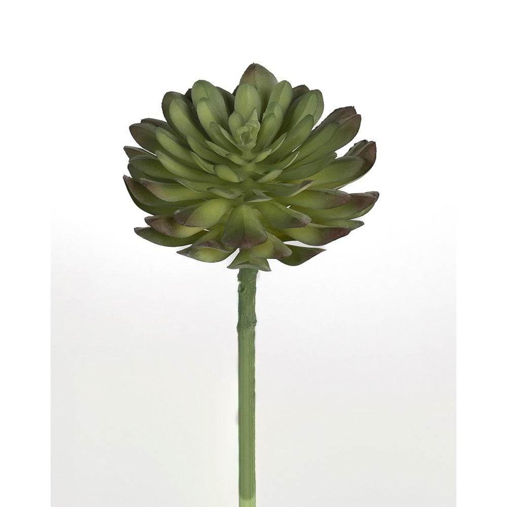 13 CM YEŞİL SUCCULENT