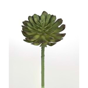 13 CM YEŞİL SUCCULENT