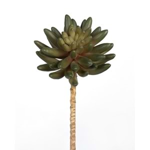17 CM YEŞİL SUCCULENT