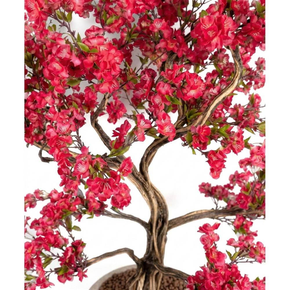 230 CM SAKSILI BONSAI