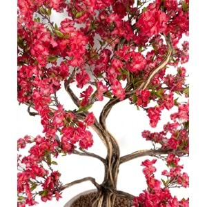 230 CM SAKSILI BONSAI