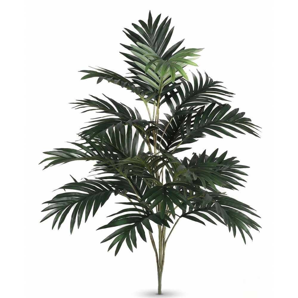 75 CM MINI ARECA