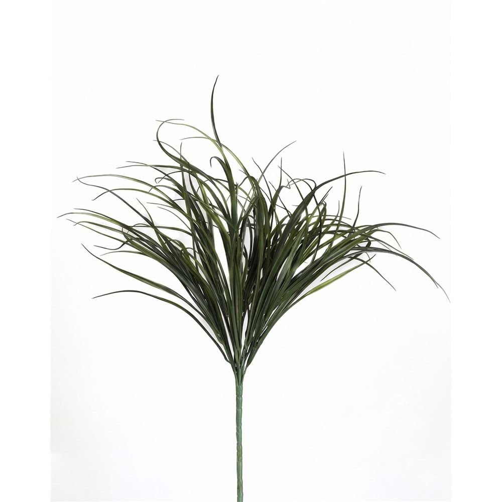 55 CM DEMET SAZLIK