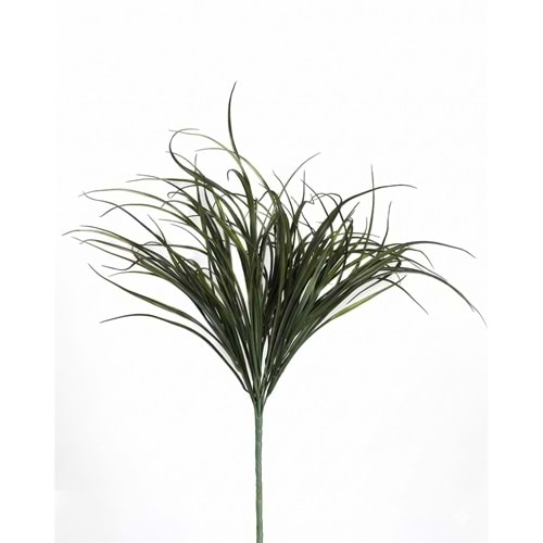 55 CM DEMET SAZLIK