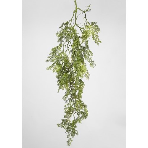 85 CM SARKAN BİTKİ