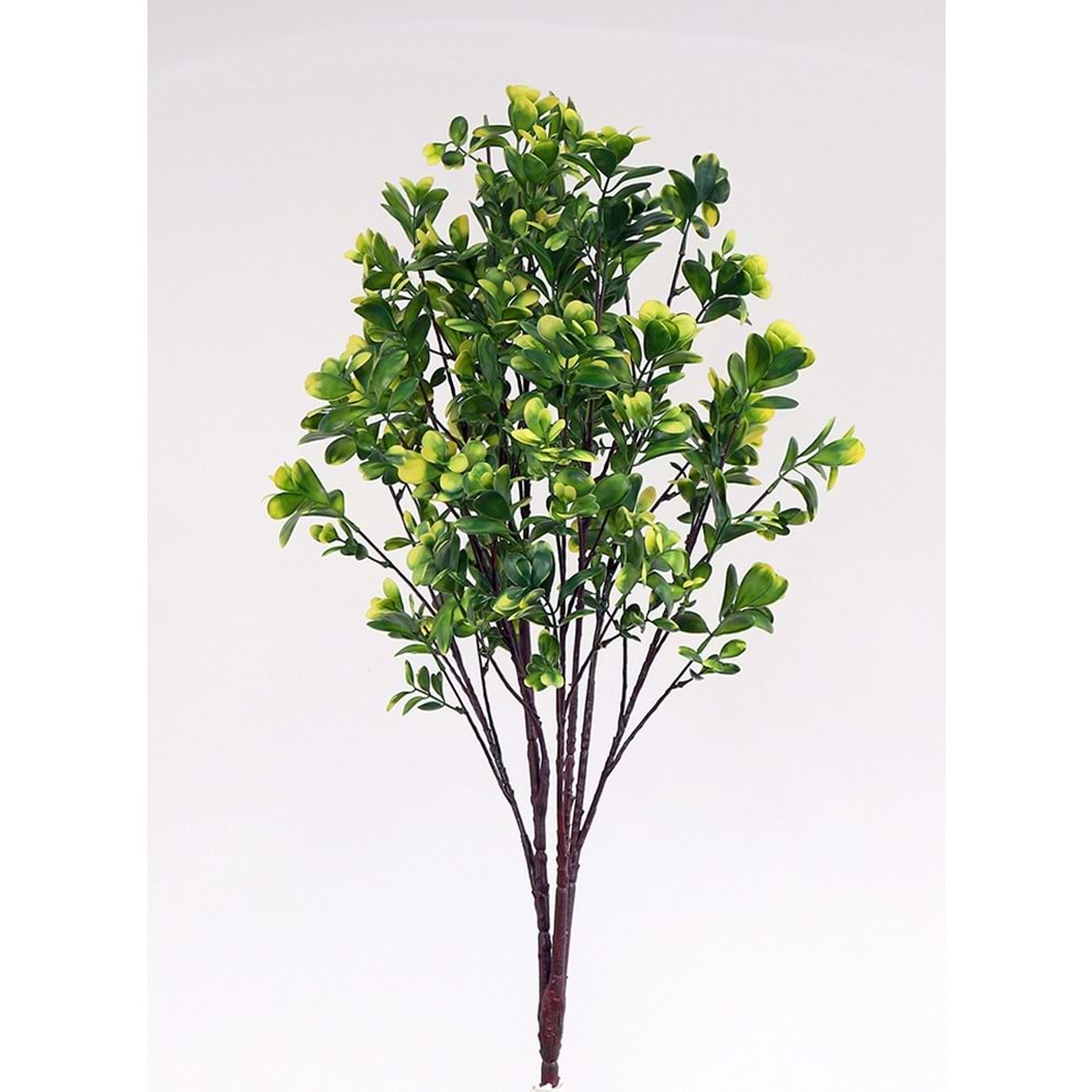 UV 88 CM PITTOSPORUM SPRAY