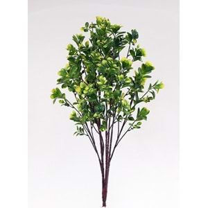 UV 88 CM PITTOSPORUM SPRAY