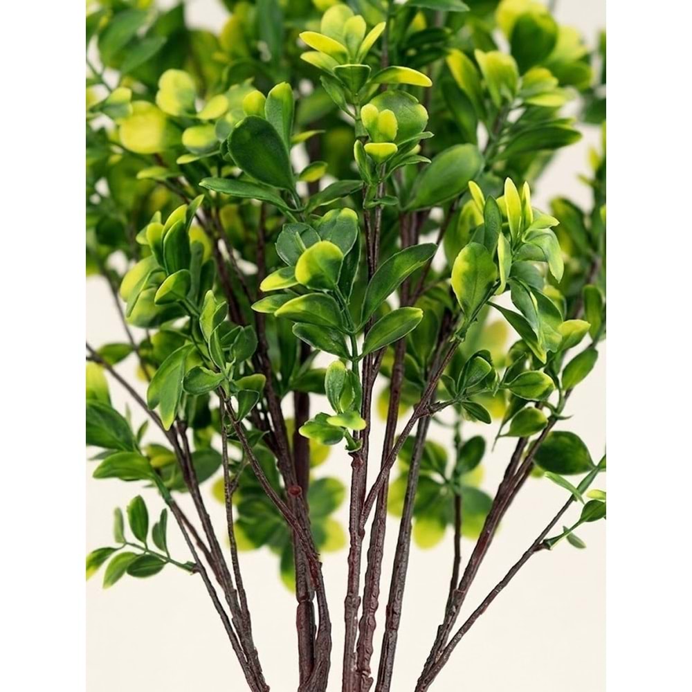 UV 88 CM PITTOSPORUM SPRAY