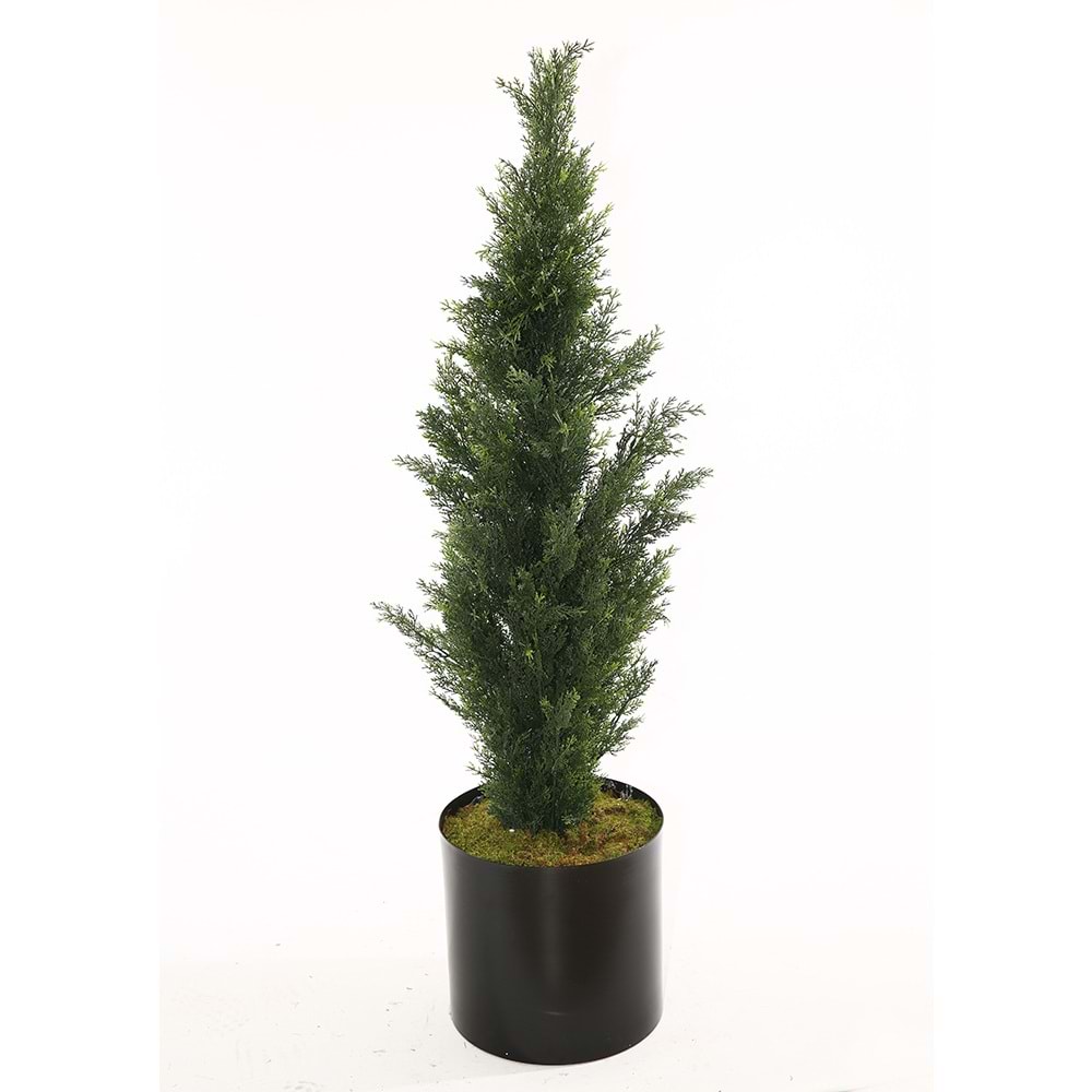 UV 120 CM CEDAR TREE