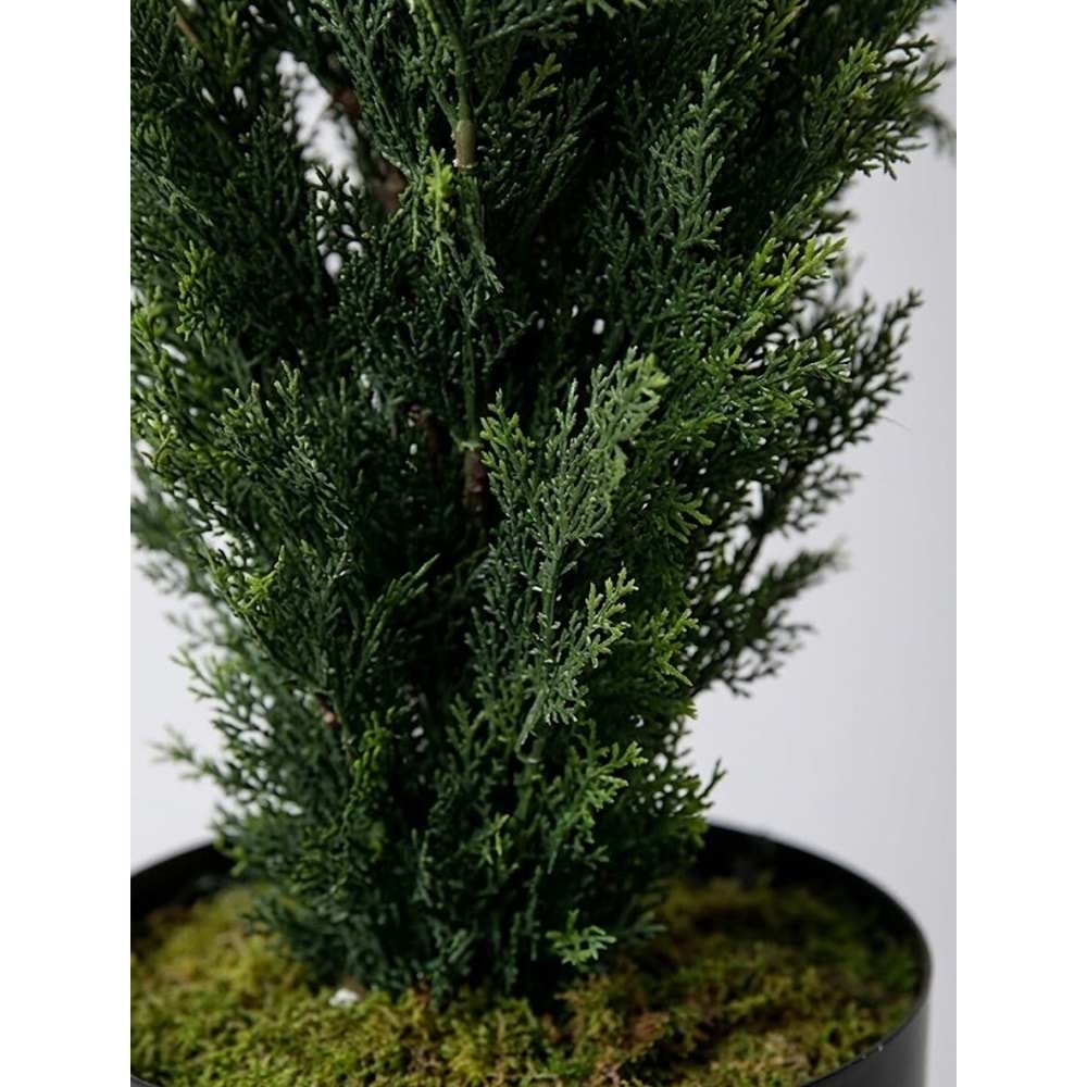 UV 120 CM CEDAR TREE