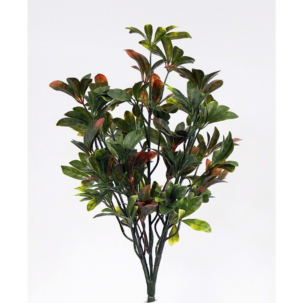 UV 52 CM PAWPAW KIRMIZI