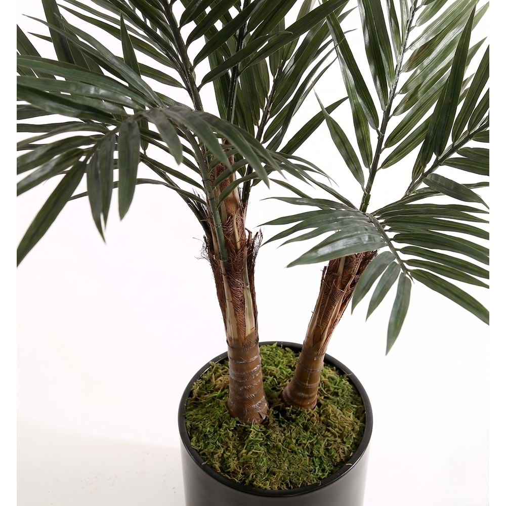 UV 180 CM KENTİA PALM
