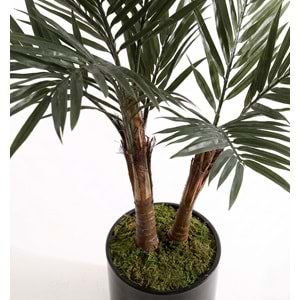 UV 180 CM KENTİA PALM