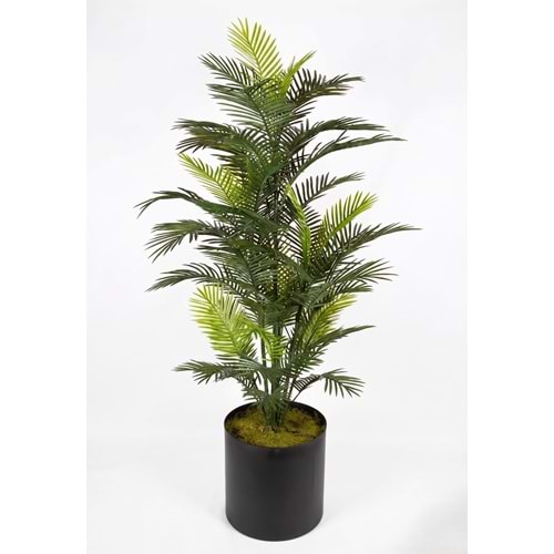 182 CM UV BIG ROBELLINI PALM