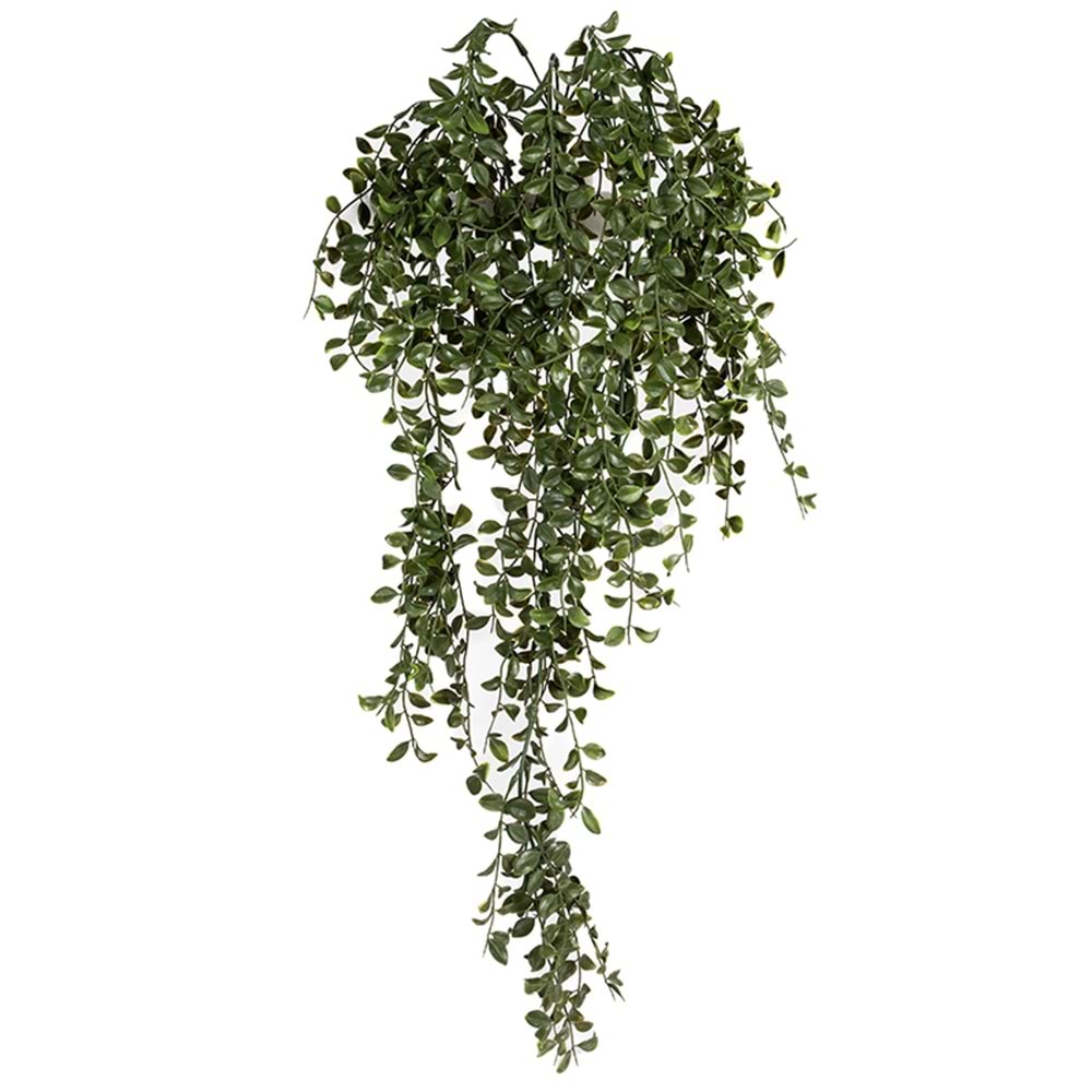 UV DAYANIMLI 86 CM GLEDITSIA