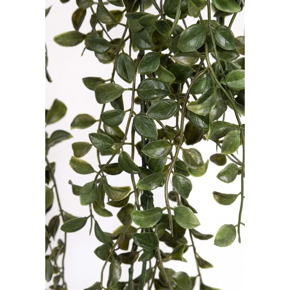 UV DAYANIMLI 86 CM GLEDITSIA