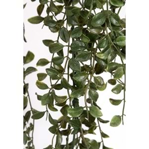 UV DAYANIMLI 86 CM GLEDITSIA