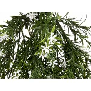 UV DAYANIMLI 68 CM LILY BUSH