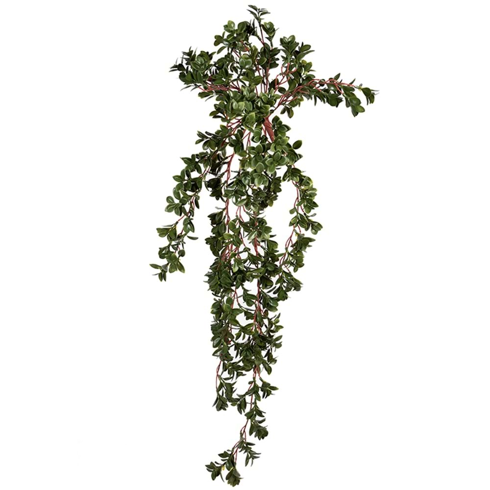 UV DAYANIMLI 88 CM NEMATANTHUS