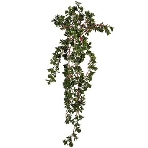 UV DAYANIMLI 88 CM NEMATANTHUS