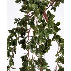 UV DAYANIMLI 88 CM NEMATANTHUS