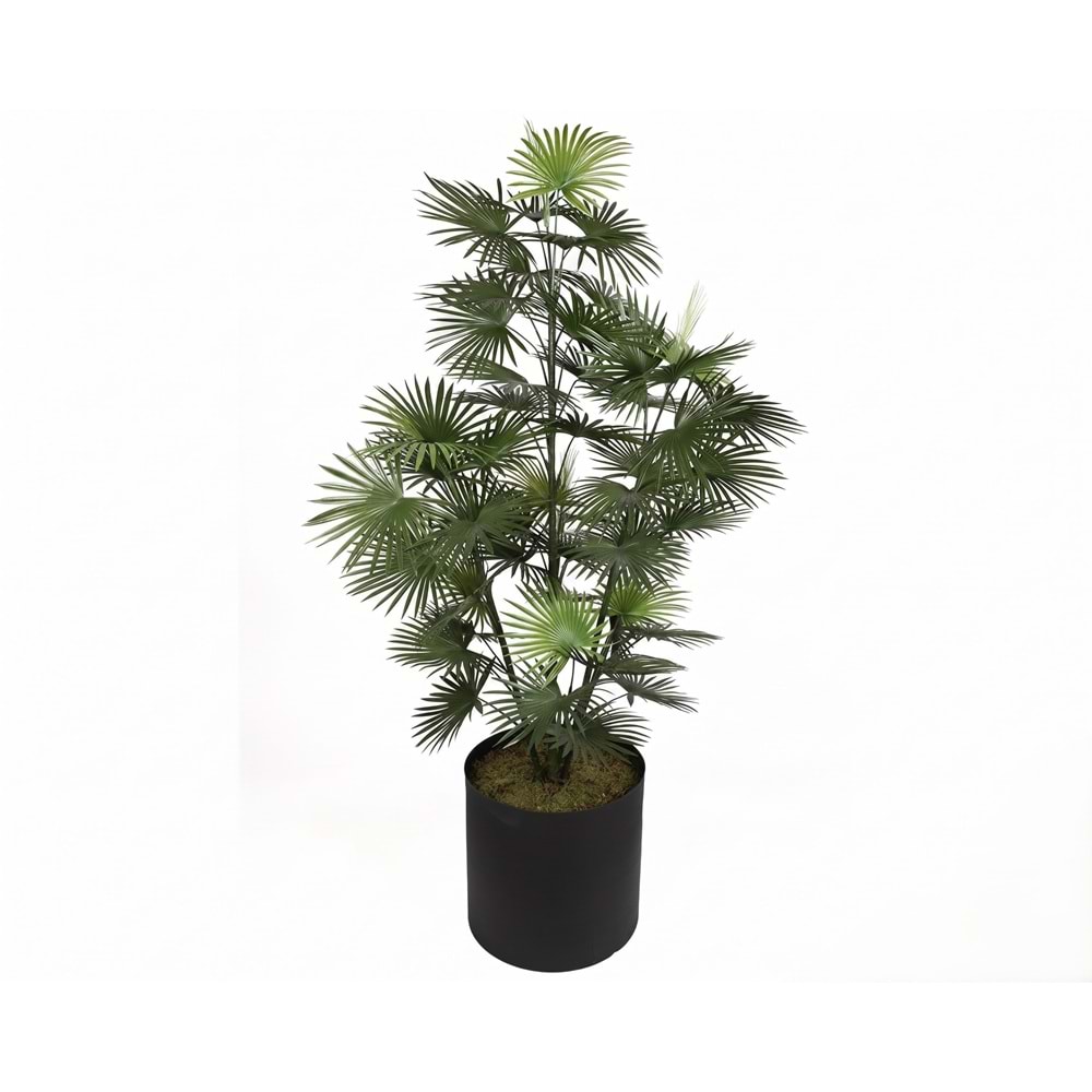 167 CM UV FAN PALM