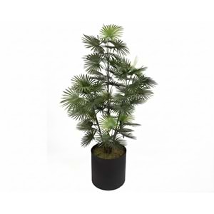167 CM UV FAN PALM