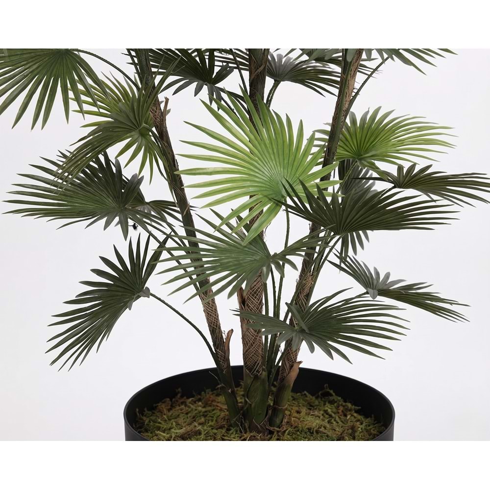 167 CM UV FAN PALM