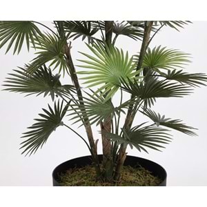 167 CM UV FAN PALM