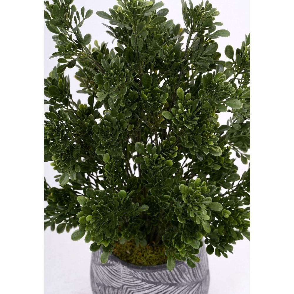 UV 78 CM TEA LEAF SPRAY