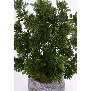 UV 78 CM TEA LEAF SPRAY