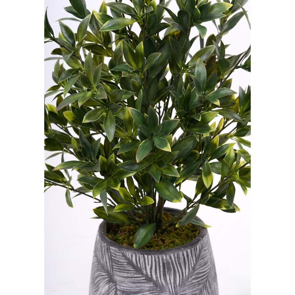 78 CM UV MAGNOLIA